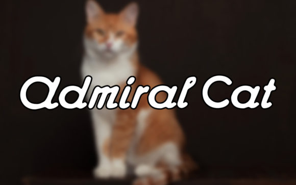 Admiral Cat: The Handwritten Font with Vintage Flow