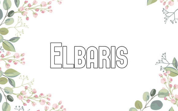 Elbaris: The Sans Serif That Brings Your Creative Vision to Life