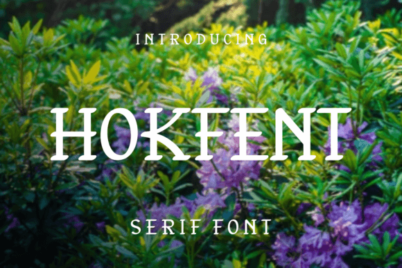 Hokfent: A Playful Serif That Actually Works for Real Projects