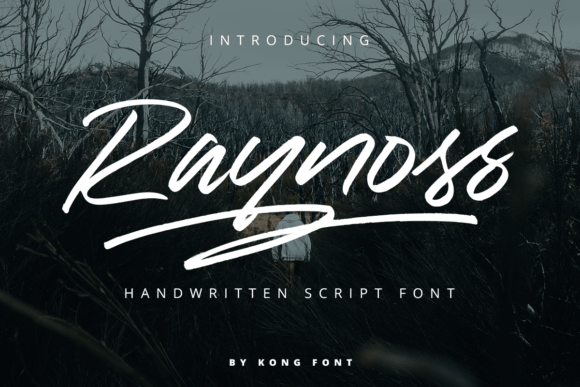 Raynoss: The Handwritten Font That Adds Instant Charm